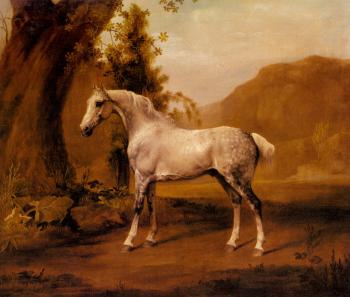 George Stubbs : A Grey Stallion In A Landscape